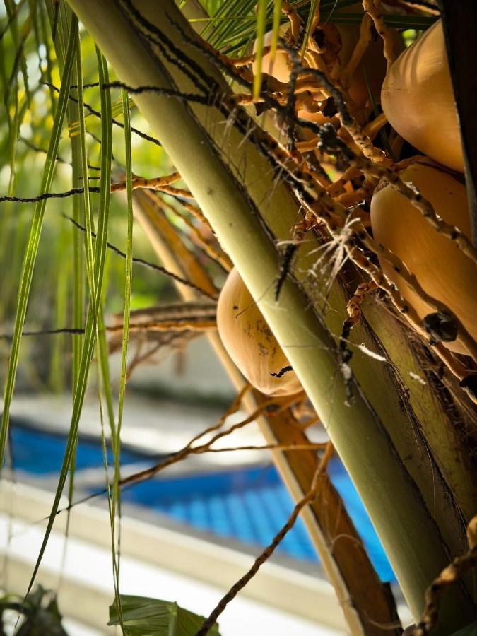 Hakuna Matata Resort Gili Air Eksteriør billede